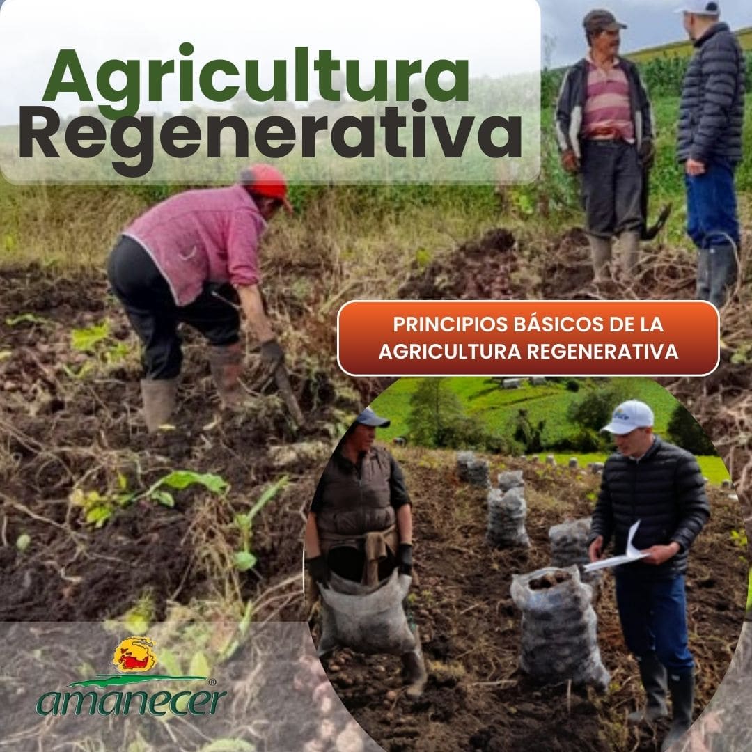 Sistemas Agropecuarios Regenerativos-Basico