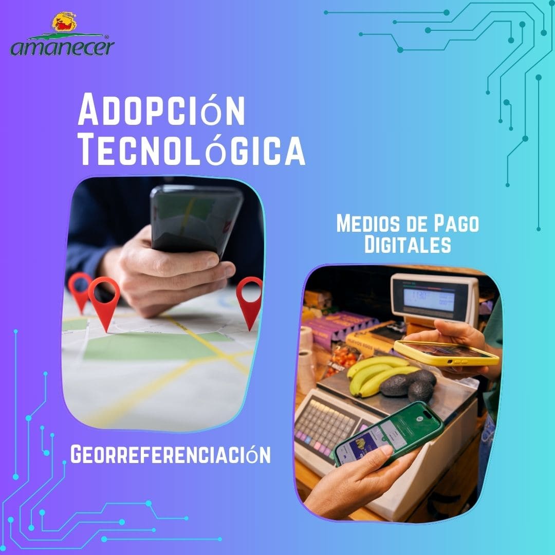 Adopción Tecnológica en Micronegocios